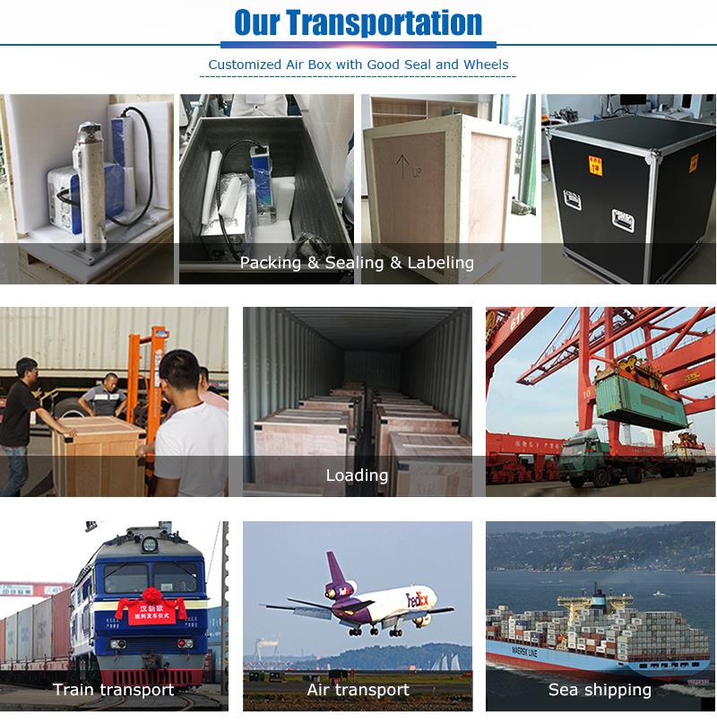 动态 聚焦 _13.jpg