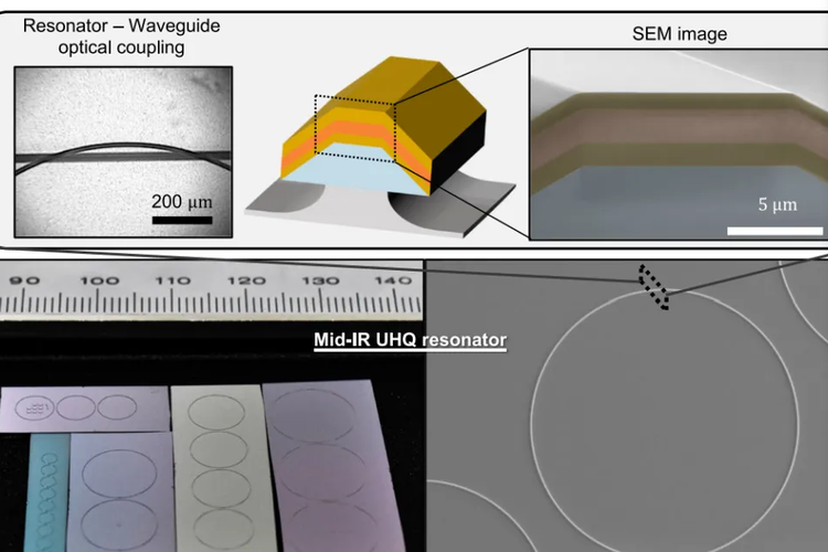 news-955-637 news-955-637